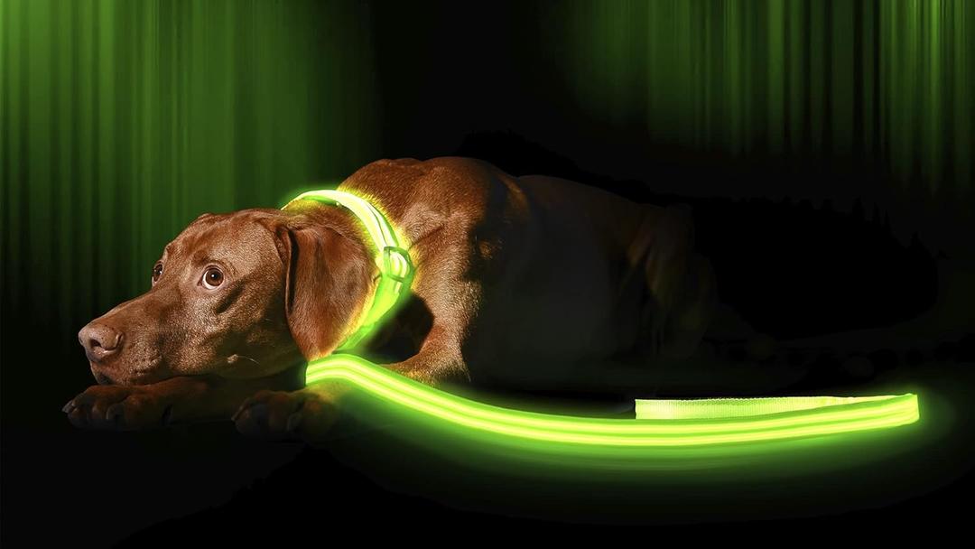 ILLUMISEEN LED Light Up Dog Leash | Ultra High Visibility Up to 350 Yards | 3 Lighting Modes | USB Rechargeable, No Batteries Needed | Padded Handle & Rotating Swivel Clasp to Prevent Leash Tangling (4 Feet, Neon Green)