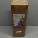 Brizled Snow Flocked Smart Christmas Tree, 22.8in Mini Christmas Tree with 100 LED RGB Lights, App/Voice Control 159+ Scenes Tabletop Xmas Tree USB C Small Tree Work with PD Power for Fireplace Desk (2FT, White)