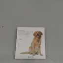 Shock Collar for Dogs, IP67 Waterproof Dog Training Collar with Remote, 3 Training Modes with Beep, Vibration, and Safe Static, Rechargeable for Large Medium (Orange)