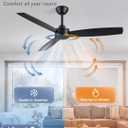 ZMISHIBO 2 Pack 52 Inch Outdoor Ceiling Fans with Remote, Black Ceiling Fan No light with Quiet Reversible DC Motor, 6 Speeds, 3 Blade Modern Ceiling Fans for Patio Living Room Bedroom Indoor