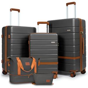 5 Piece Luggage Sets, 20" 24" 28" Hardshell Suitcases with TSA Locks Lightweight PC+ABS Spinner Wheel Luggage for Family Vacation & Air Travel Carry On Checked Baggage Set (Gray)