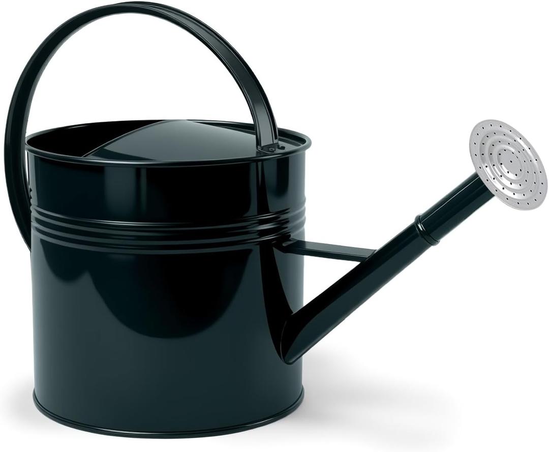 LONGRUN 2.5 Gallon Dark Green Metal Watering Can Primary Colors Nozzle for Plants and Garden with Removable Spout, Made of Galvanized Iron
