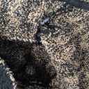 Soft Plush Hooded Robe, Cozy Warm Loungewear Bathrobe with Pockets for Women (One Size)