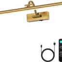 DESOOP Wireless Brass Picture Lights for Wall Motion Activated, Motion Sensor Art Lights Auto-Off Gallery Lights for Portraits Display 24 Inch 5W Warm White