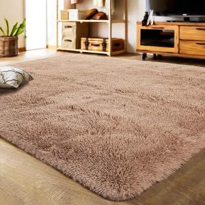 LOCHAS Ultra Soft Indoor Modern Area Rugs Fluffy Living Room Carpets for Children Bedroom Home Decor Nursery Rug 3x5 Feet, Light Tan