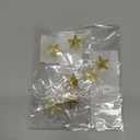 Gold Point Star Lapel Pins, Enamel Pin Set (1 In, 12 Pack)