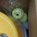 SOCO Automatic Ball Launcher for Dogs, USB Rechargeable with 3 Distances (10/20/30 ft), Safety LED Indicator, Include 6 Tennis Balls, Indoor/Outdoor Fetch Toy for Small/Medium Dogs