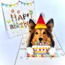 4 x Shetland Sheepdog Birthday Card 3D Pop Up  Sheltie Dog with Party Hat & Birthday Cake, Funny Birthday Card for Sheltie Lovers, Shetland Sheepdog Mom Dad Gift, 6x6 Inch, Includes Envelope