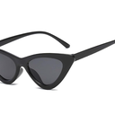 LIVHO Narrow Cat Eye Sunglasses for Women 90s Small Chic Style Trendy Sunnies UV400 Protection FZN7514