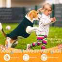16 Pieces Small Dog Clothes Cute Blank Puppy Shirts Soft Dog Sweatshirts Breathable Outfit for Pet Cats Accessories, 16 Styles(XL)