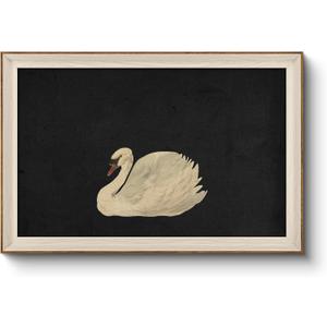 VIYYIEA Framed Wall Art for Living Room, Swan Art Canvas Prints, Vintage Home Decor, Animals Painting Picture, Bathroom Wall Decor Gifts for Friends or Family - 36L x 24W