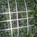 20''x20'' (6 Pieces) Artificial Hedge Vine Panels Greenery Backdrop