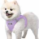 rabbitgoo Small Dog Harness, Step-in Soft Mesh Puppy Vest with Safety Buckle, Breathable Reflective Pet Harness for Small Sized Dogs, Light Purple S