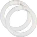 8 inch FC8T9/CW 22W Cool White Circular Fluorescent Light Bulb, Round T9 22 Watt Circline Fluorescent Lamp Bulbs 4100K 1350 Lumens, G10q 4 Pin Base, 2 Pack