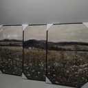 SHENIFY Vintage Landscape Framed Wall Art Meadow Flowers Farmhouse Decor Retro Classic Painting for Hallway Living Room Bedroom Dining Room - 16x24in, 3pcs Black Framed