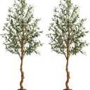 GAOMON Artificial Olive Tree 6FT(72in) Tall Faux Olive Trees with Silk Leaves for Home Office Living Room Decor Indoor Fake Olive Tree with Curved Wood Trunk and Lifelike Fruits Set of 2