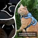 Cat Harness, Cat Car Harness and Leash for Walking, Escape Proof Soft Adjustable Vest Harnesses for Cats, Easy Control Breathable Reflective Strips Harness, Kitten Harness and Leash Set, Blue, M