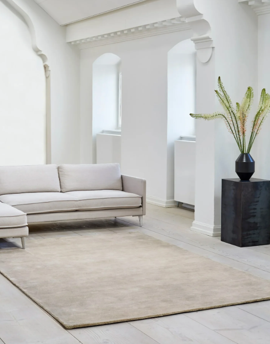 Brown Rug 32x57 Inches