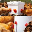 TAOGU Chicken Feeder No Waste Automatic Poultry Feeder Ports Chicken Feeders and Waterer Set Chicken Feeders Kit