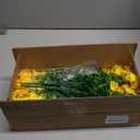 Yastouay Artificial Flowers for Outdoors, 14 Bundles Fake Outdoor Flowers, UV Resistant Artificial Plants & Flowers for Decoration, Yellow Realistic Morning Glory for Outdoor Porch Garden Decoration