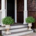 Set of 2 Artificial Boxwood Topiary Trees for Front Door - Faux Realistic Greenery Potted Plants, Fake Outdoor UV-Resistant Bushes with Pots for Porch,Farmhouse,Home,Garden Decor