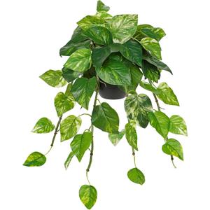 Hollyone Artificial Hanging Pothos Plants Potted Fake Ivy Faux Pothos Vine Leaves Hanging Greenery Plant in Black Pot for Home Indoor Tabletop Bedroom Patio Shelf Office Decor