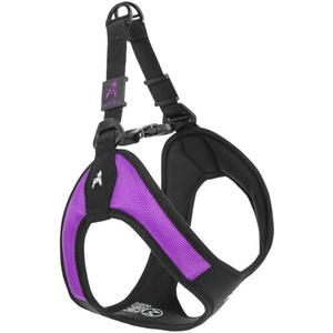 Gooby Escape Free Easy Fit Harness - Purple, Medium - No Pull Step-in Patented Small Dog Harness with Quick Release Buckle - Perfect On The Go No Pull Harness for Small Dogs or Medium Dog Harness (Medium chest (18~21.75"))