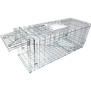 Large Collapsible Humane Live Animal Cage Trap No-Kill Trapping Kit for Humane Catch Release Rabbits, Stray Cat, Squirrel, Raccoon, All Fit Sized Animals, Heavy Duty, 2-Door 31"x11.5"x12.5"