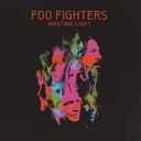 Wasting Light, Vinyl