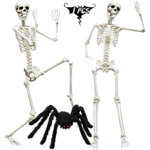 CAMIRUS 5.4ft/165cm Halloween Skeleton, Life Size Skeleton with Hairy Spider Pumpkin Bag, Full Body Human Bones with Movable Joints for Halloween Indoor Outdoor Haunted House Decorations