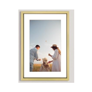 16x13 Picture Frame Set of 2, Brass Metal Photo Frames with HD Glass