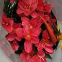 Hotop 4 Set/ 16 Pcs Artificial Tropical Flower Bouquets Bulk for Hawaii Centerpieces Bird of Paradise Lily Bouquet Permanent Flower Tropical Imitation Plant for Party Office Home Decor (Rose Red)