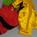 Rubies Teen Titans: Robin Pet Costume for Dogs or Cats, X-Large