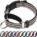 Martingale Dog Collar, Adjustable Nylon Reflective Collar with Quick Release Buckle (Pink Ivory, Large)