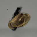 HAIRCUBE Bangs Hair Clip in Bangs 100% Real Human Hair Bangs Clip in Hair Extensions Fake Bangs Air Bangs Hairpieces for woman with Temples 3 Secure Clips in Full Fringe (Ombre Light Blonde)