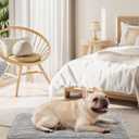 OhGeni Orthopedic Waterproof & Machine Washable Dog Bed for Small Medium Pets, Suitable for Crates, Cat Mat with 25D Egg Crate Foam, Removable Cover, 30 Inches(Gray)