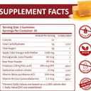 (2 Pack) Apple Cider Vinegar Gummies | Keto ACV Gummies for Supports Metabolism & Fat Burn with Vitamin B6 & B12 | ACV Supplement | Lemon Honey Flavor | 120 Vegan for Women and Men