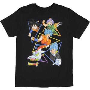 Dragon Ball Z Super Boys' Character Triangle Design Graphic Print T-Shirt (Medium)