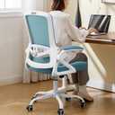 Ergonomic Office Chair Desk Chair with Adjustable Lumbar Support