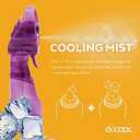 O2COOL Deluxe Handheld Battery Powered Water Misting Fan (Purple) (Single)
