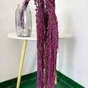 5 Pcs Bleached Wisteria Vine Hanging Dried Flowers, Natural Preserved Hanging Amaranthus Flowers for Wedding Bouquet, Wall Home Party Decor (Grape Purple)