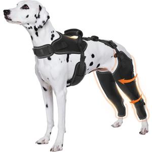 Dog Knee Brace for Pets with Cruciate Ligament Injuries - Keeps Joints Warm and Stable, Dogs Rear Leg Wrap Harness Set, Upgraded Adjustable Leg and Hip for Leg Wound Care and Lick Prevention, L