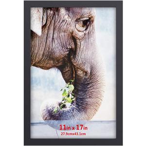 RPJC 11x17 inch Solid Wood Poster Frame for Wall Mounting Hanging Picture Frames Black (11x17, Black)