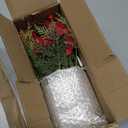 Small Christmas Tree Artificial Potted - 9" Mini Fake Poinsettias Plant Table Decor with Xmas Ball Ornaments Berry Centerpiece Indoor for Winter Floral Arrangements Home Party Mantel Office Farmhouse