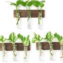 XXXFLOWER Wall Mounted Plant Terrarium with Wooden Stand 3 PCS Hanging Planter Propagation Station with 3 Glass Tubes for Plant Cuttings Flower Vases for Home Office Indoor Decor
