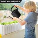 Watering Can, Stainless Steel Watering Can for Indoor & Outdoor Plants, 1L/35oz Long Spout Water Can with Handle, Rust-Proof Plant Watering Pot for House Plants, Garden Flowers