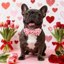 Maca Bates Valentine's Day Dog Collar with Fancy Bow for Extra Large Girl Boy Dogs,Love Pink Hearts Pattern,Adjustable Durable Soft Valentine Gift for Female Male Puppy (XL)