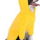 DELIFUR Dog Halloween Duck Costume - Adorable Dog Hoodies for Pet Cute Animal Clothes Cosplay Sweatshirt Yellow (Duck, Large)