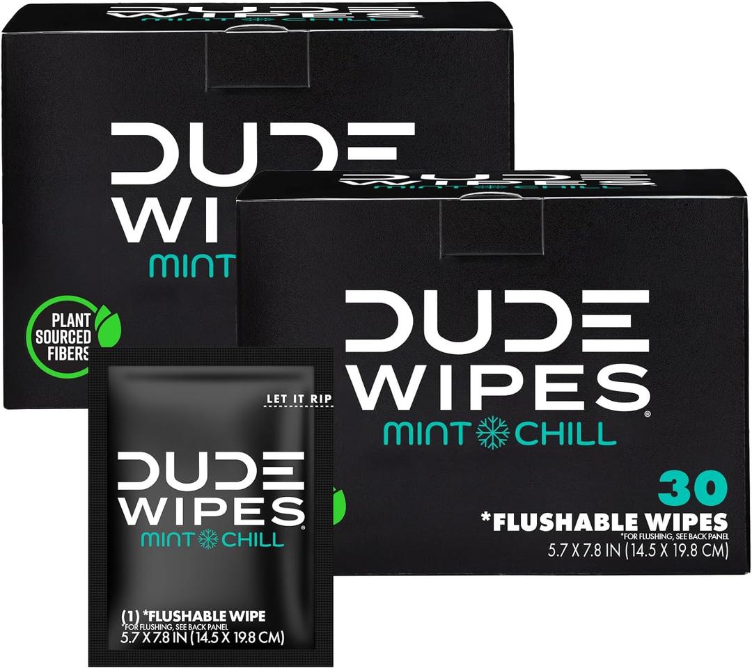 DUDE Wipes On-The-Go Flushable Wet Wipes - 30 Count, Pack of 2 - Mint Chill Extra-Large Individually Wrapped Wipes with Eucalyptus & Tea Tree Oil - Septic and Sewer Safe