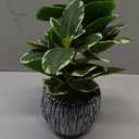 Artificial Plants Indoor Outdoor, Faux Variegated Oak Leaf Plant, Fake Potted Plants Artificial Decor for Coffee Table Desk Shelf, Faux Plants Indoor for Living Room Bathroom Bedroom Entryway Office (Green#02)